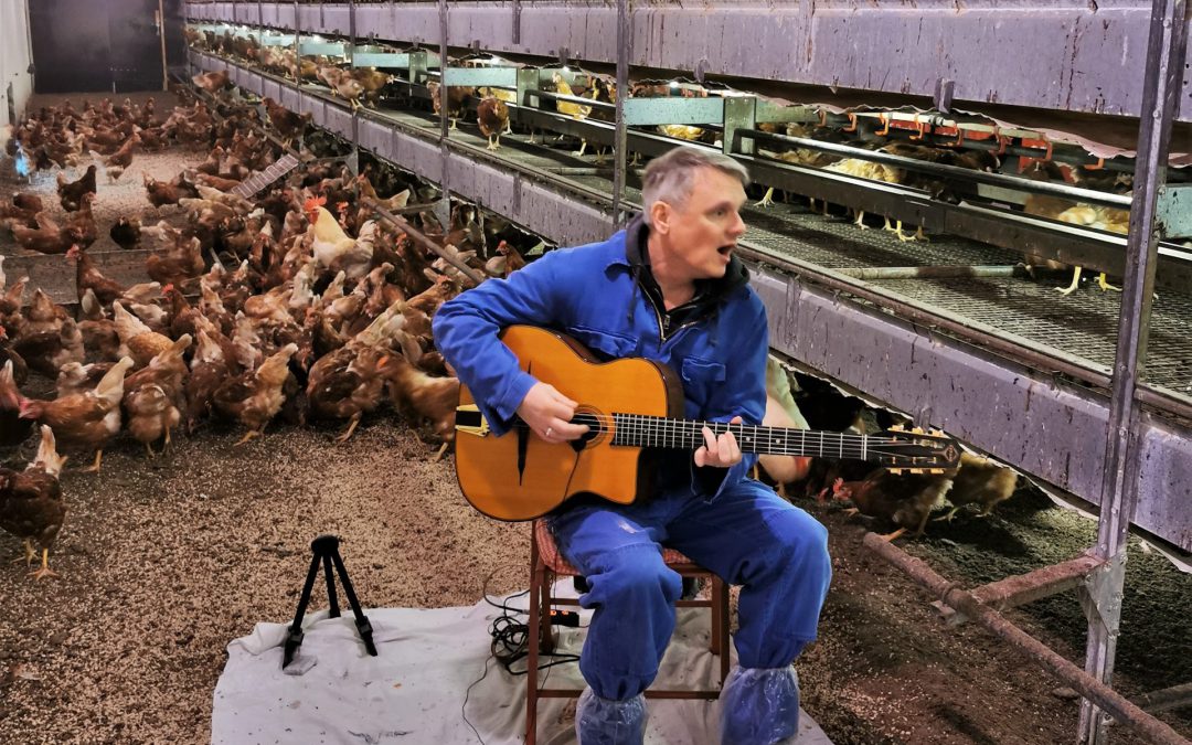 Ein Konzert im Hühnerstall